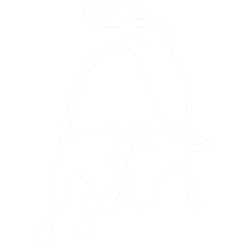 Kar Oto Yıkama İş Ortakları Logo 4